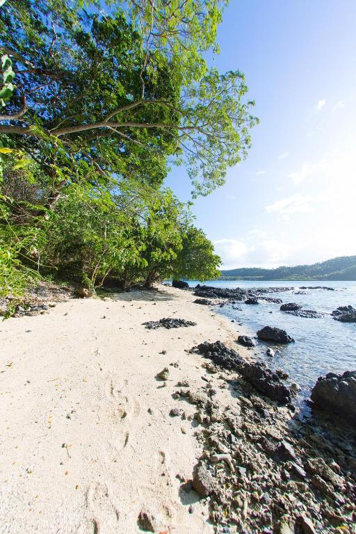 Sau Bay Resort - Off Taveuni Na Sau Bay ภายนอก รูปภาพ