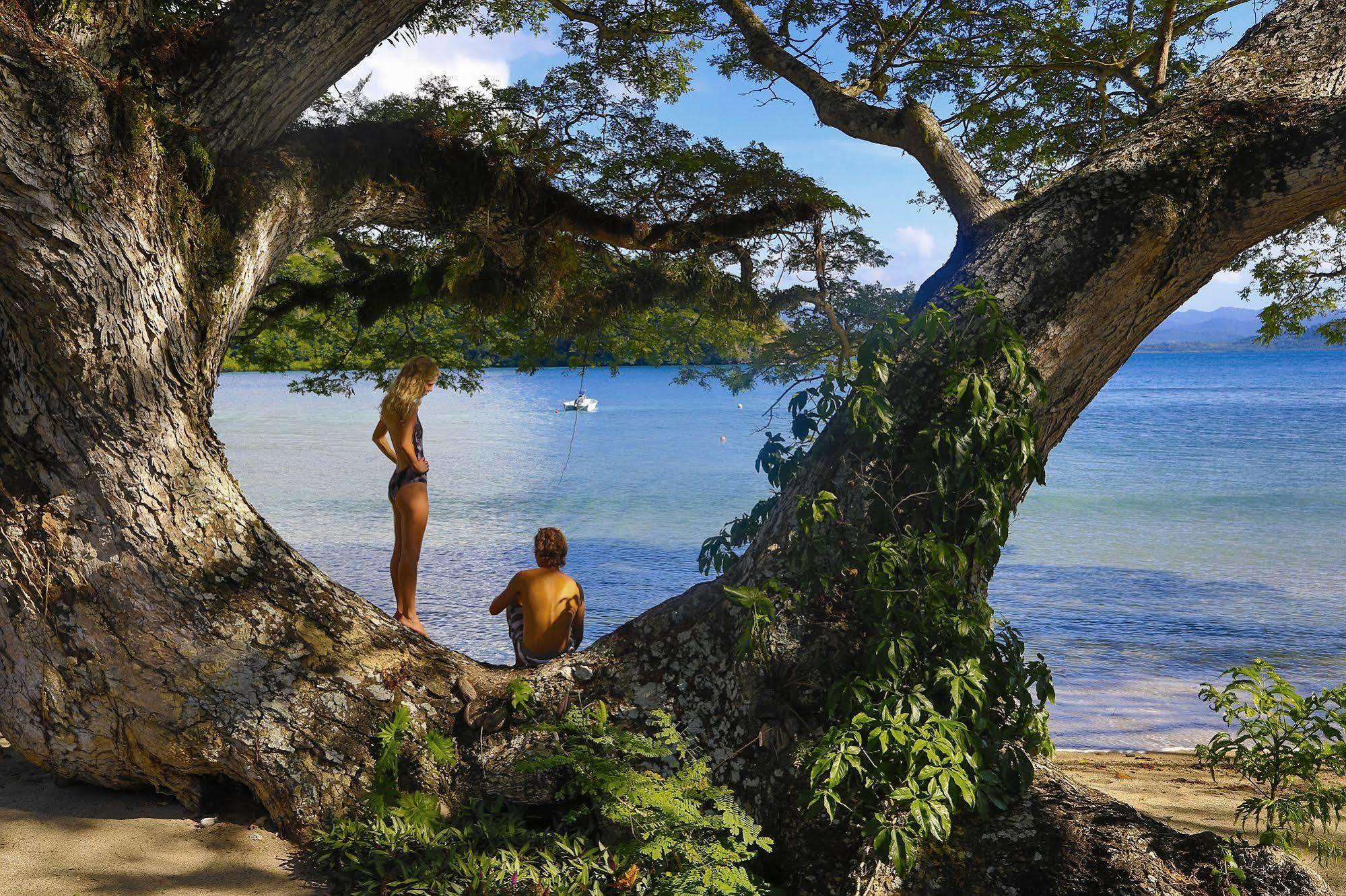 Sau Bay Resort - Off Taveuni Na Sau Bay ภายนอก รูปภาพ